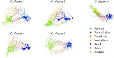 Nonlinear Control in the Nematode C. elegans